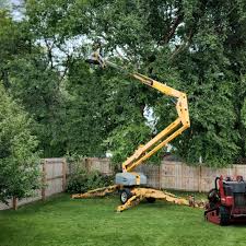 Best Aeration Services  in Aromas, CA